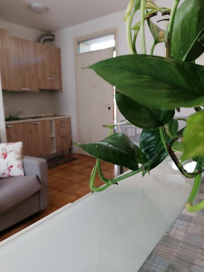 Vivi Vicenza Apartment ภายนอก รูปภาพ